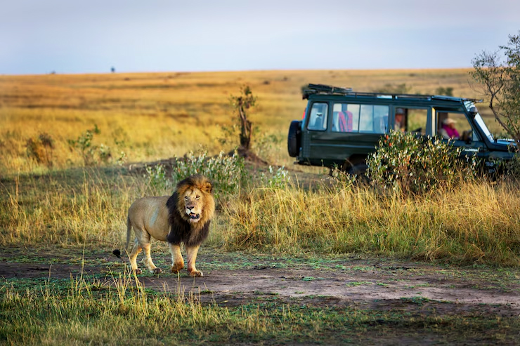 Jeep Safari Price and Zone Jim Corbett