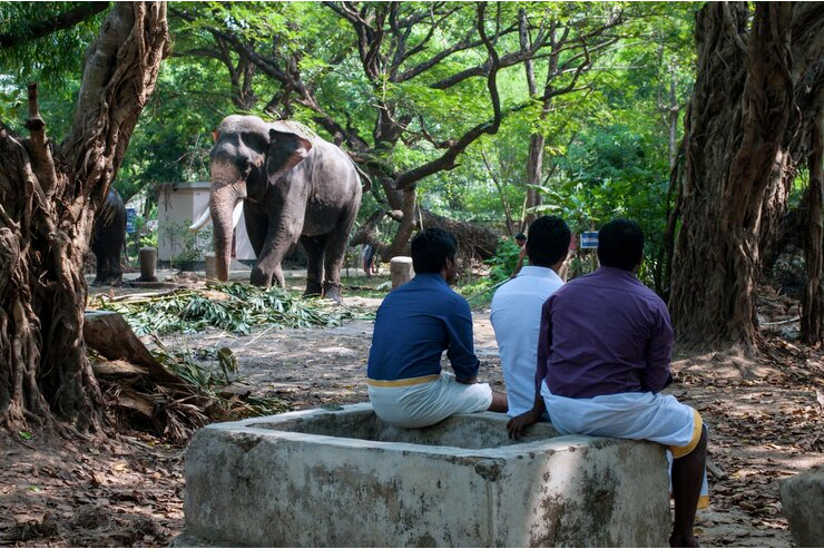 Travel Tips Jim Corbett National Park India