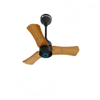 Atomberg Renesa Plus Ceiling Fan