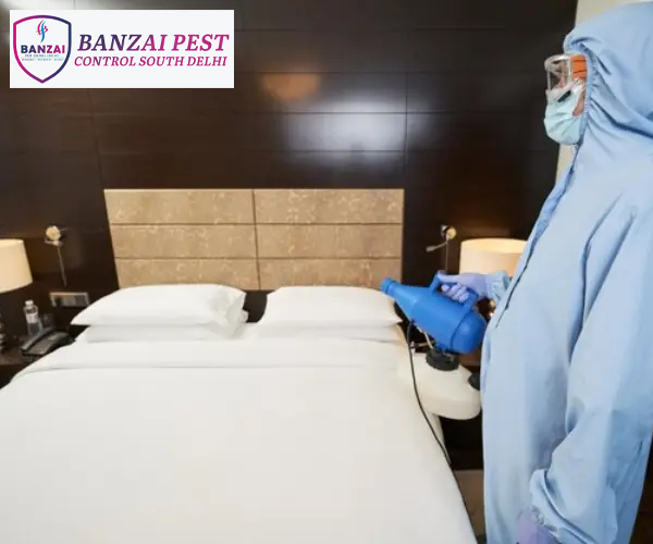 Best Bed Bugs Control Services in South Delhi: Banzai Pest Control