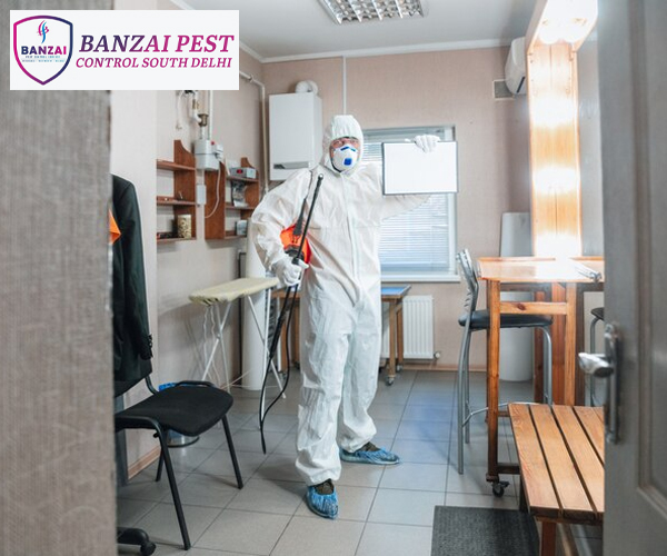 Best Pest Control Services in South Delhi | Banzai Pest Control