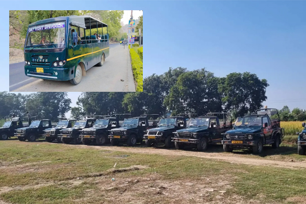 Jeep Safari Online Booking