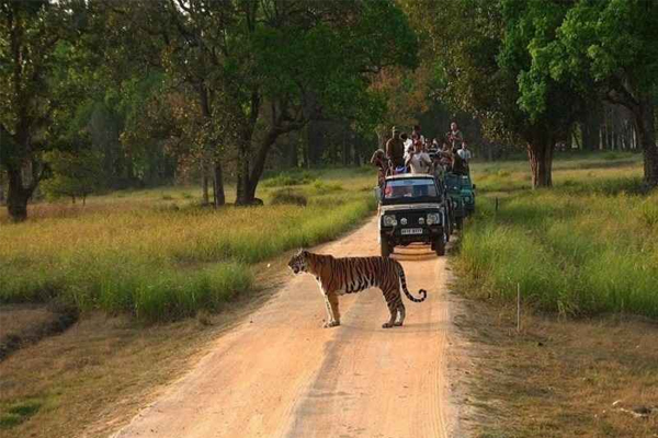 Jim Corbett Tour Packages from Delhi