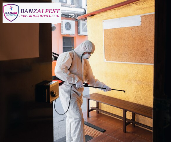 Residential Pest Control Services south Delhi: Banzai Pest Control