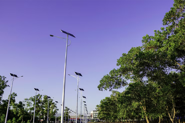 Top Solar Street Light Manufacturers in Delhi NCR