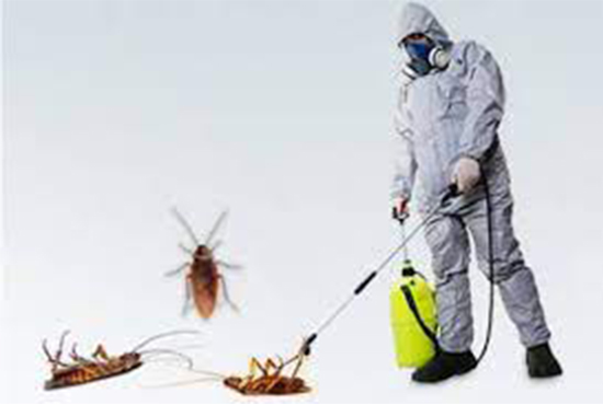 Cockroach Management pest control services