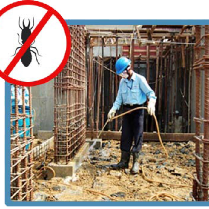 Pre-Construction Anti-Termite Treatment Services