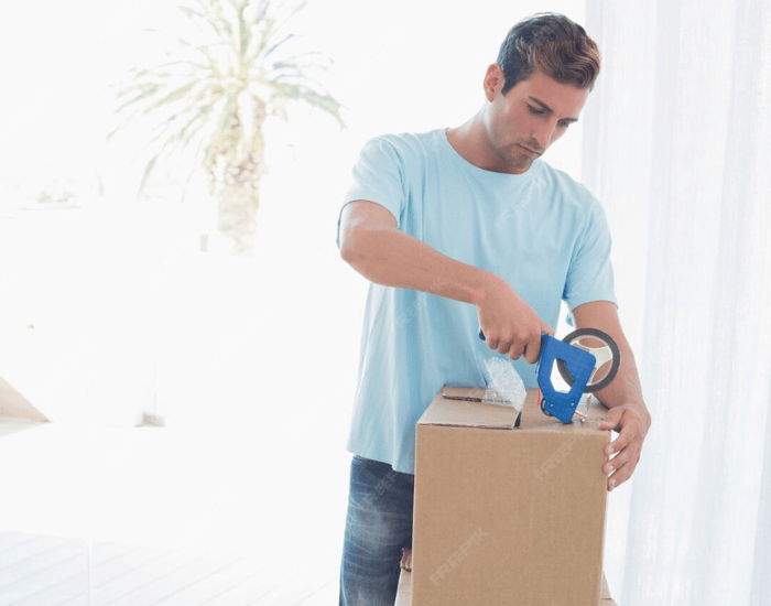 Single Item Moving Transport Service